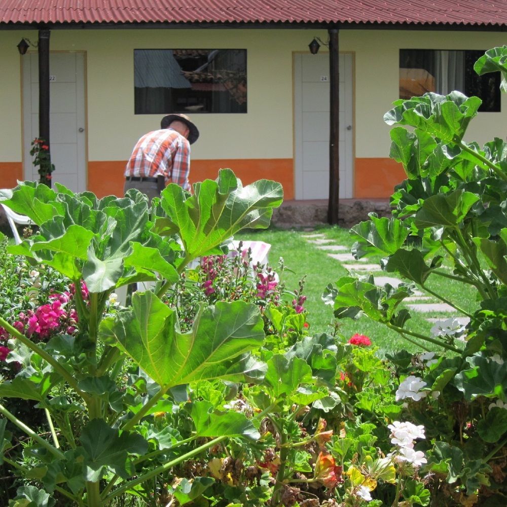 Kurumi Hostel Cusco Dış mekan fotoğraf